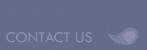 Contact Wynn-Mellor Ltd