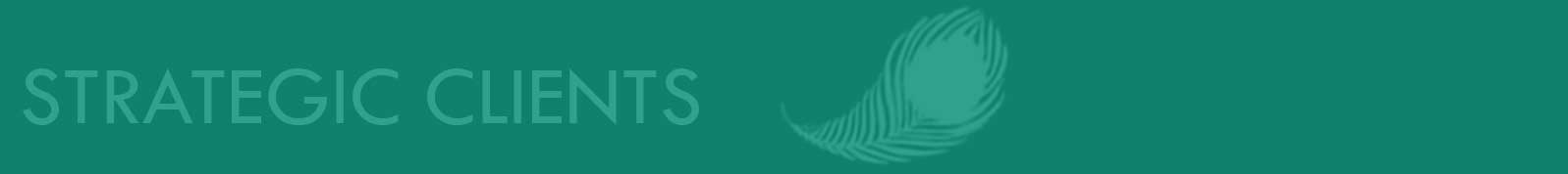Wynn-Mellor Strategic Clients